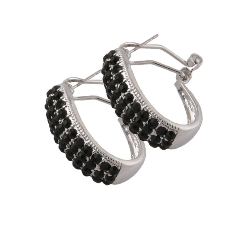 Oorbellen Sparkling Hoops