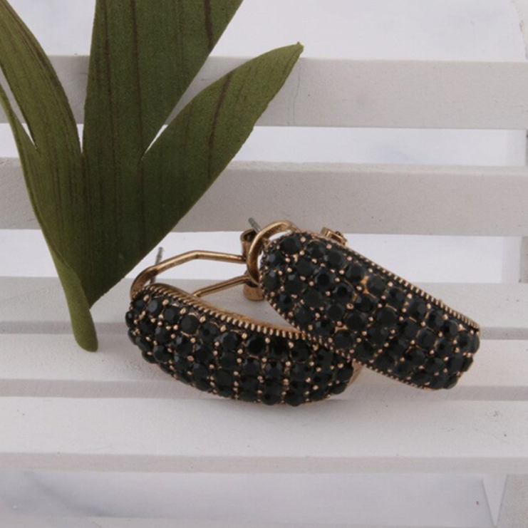 Oorbellen Sparkling Hoops