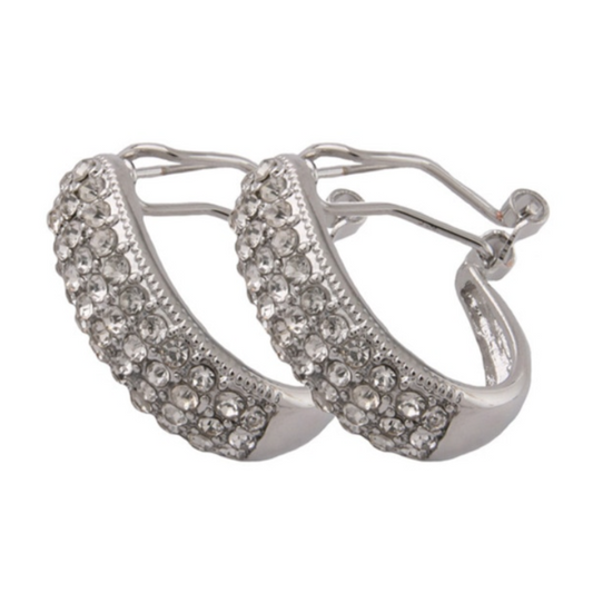 Oorbellen Sparkling Hoops